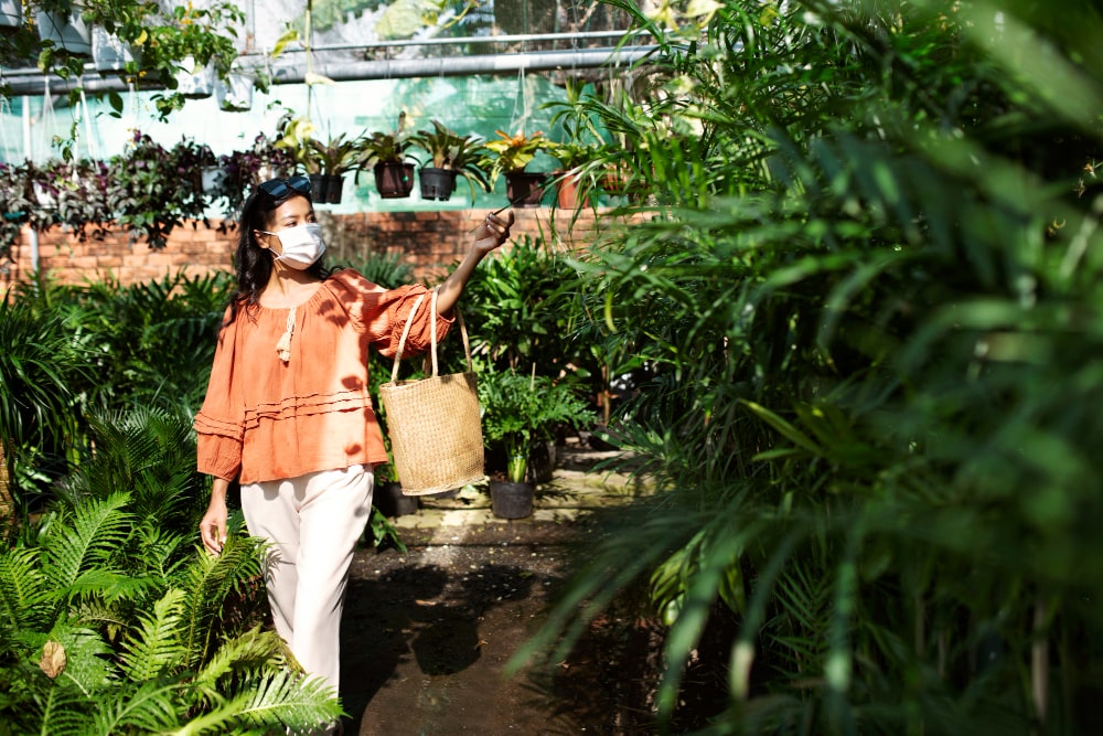 Coco Farms: Discover Premium Cannabis in California