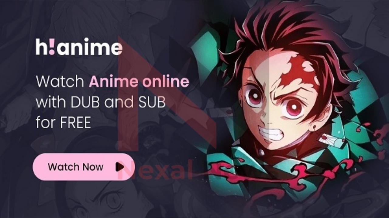 hi anime