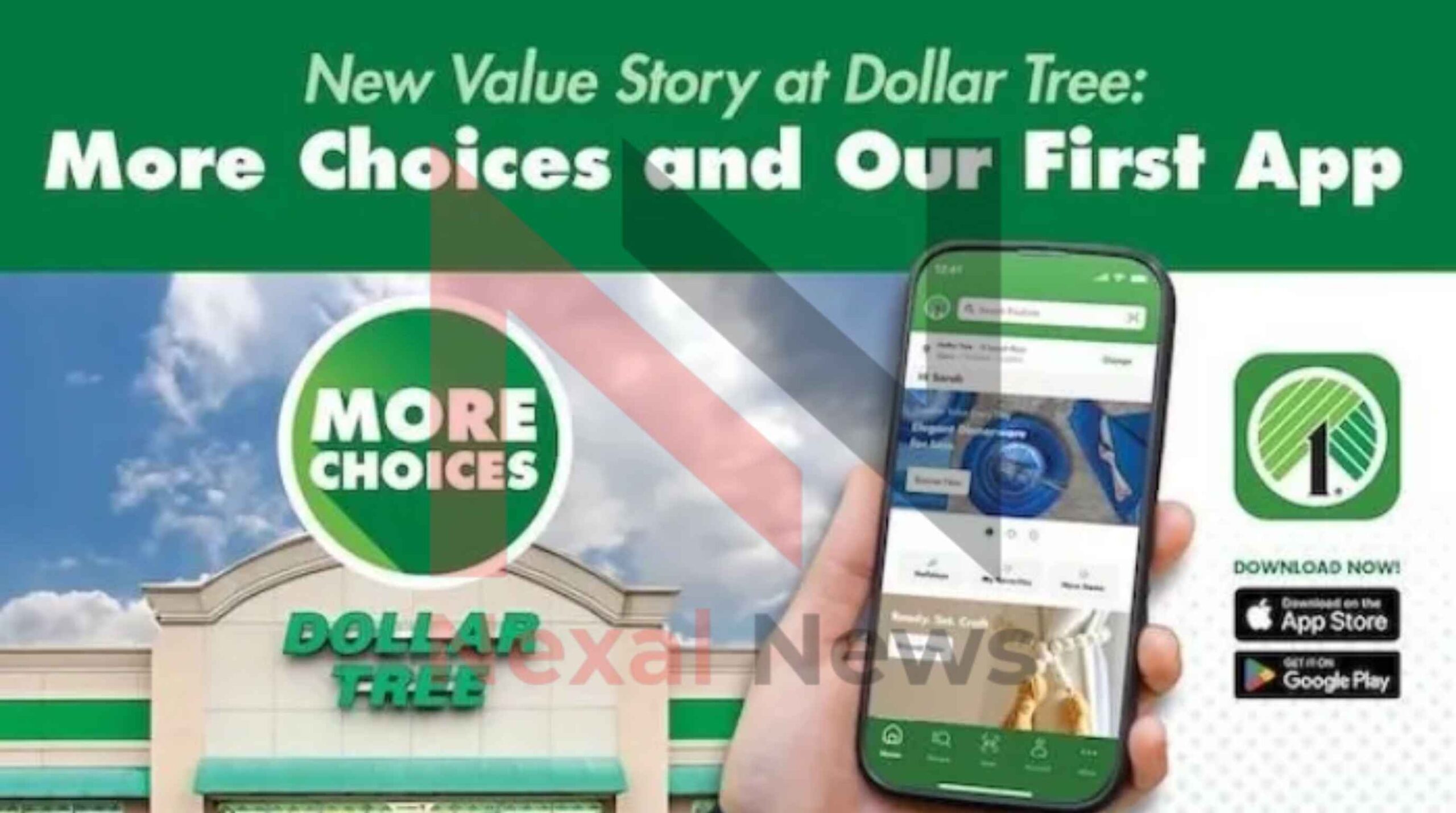 dollar tree compass
