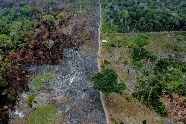 amazonia news​