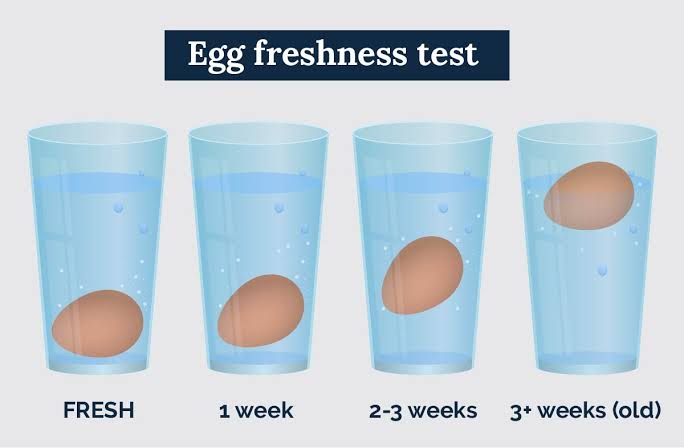 checking eggs are fresh