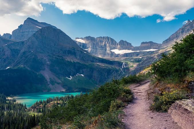best places to see wildlife