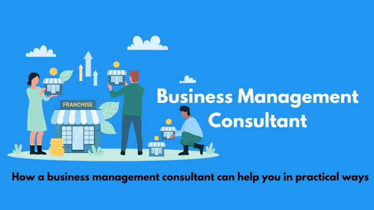 small business management consulting